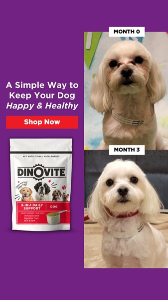A vertical ad creative using a side-by-side comparison of a dog's appearance at Month 0 and Month 3 to demonstrate product efficacy.